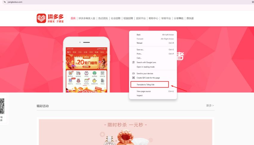 Chọn dịch sang tiếng việt