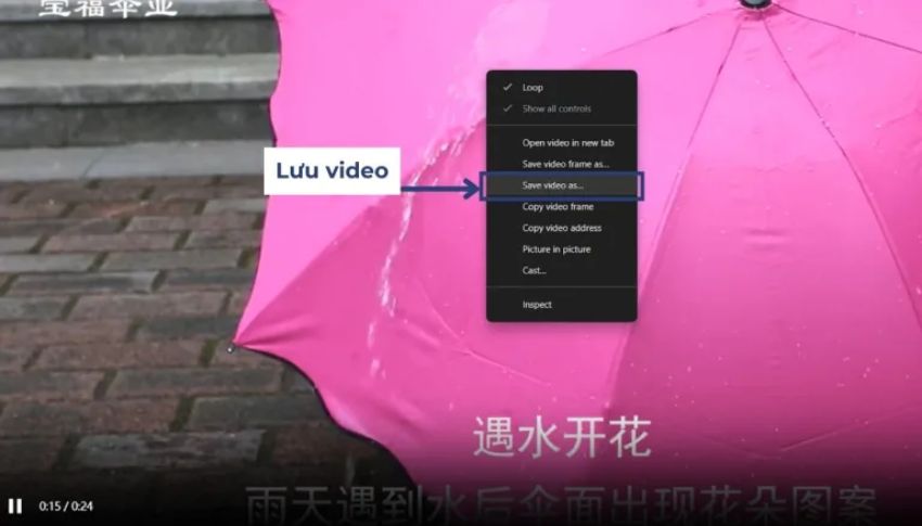 Cách lưu video sản phẩm Pinduoduo trên máy tính